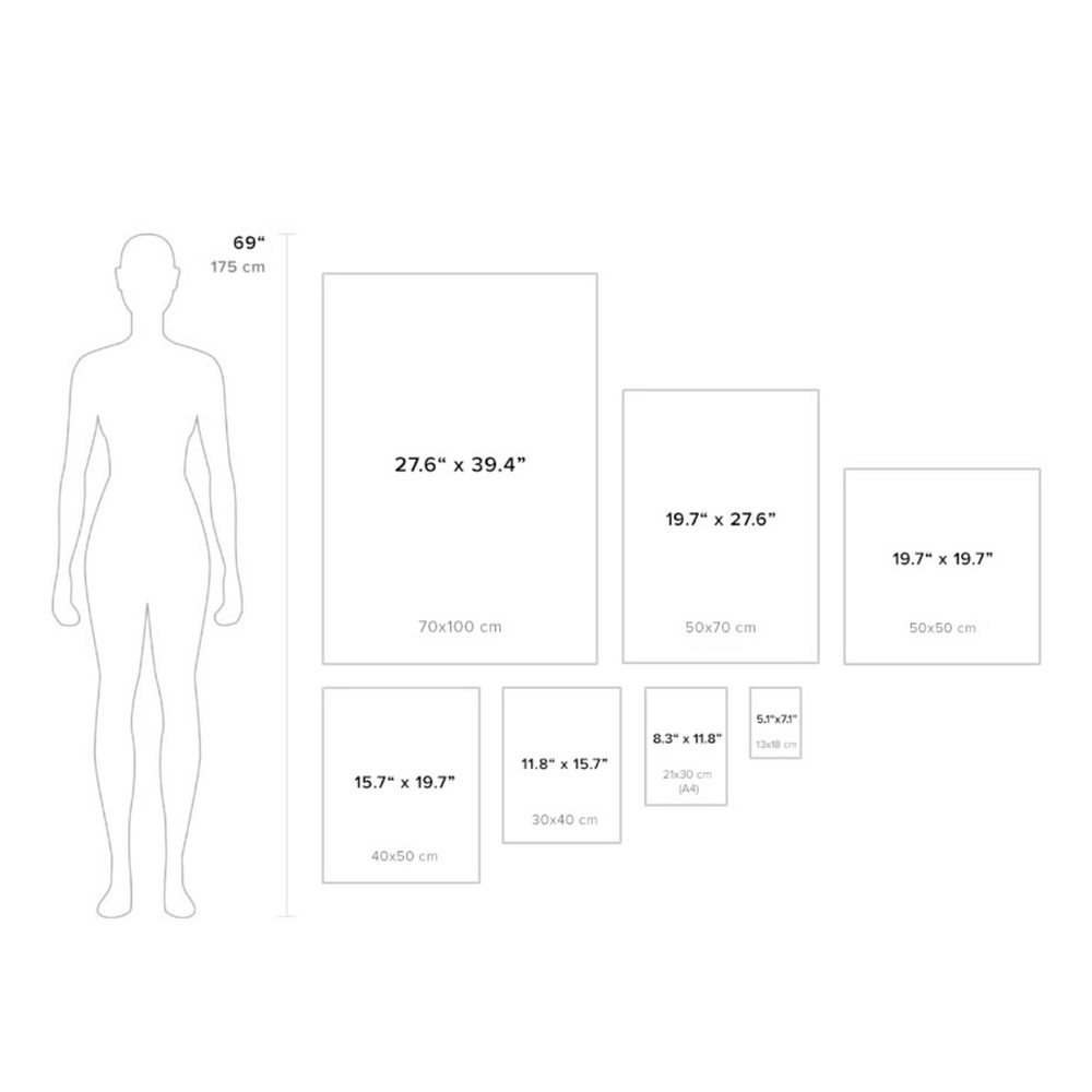 Photography Art Poster - Picture 3 of 4